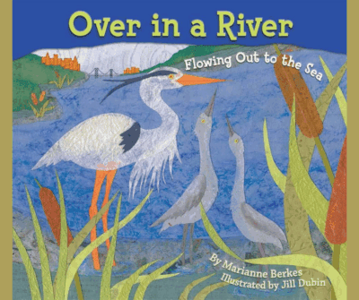 Image: the cover for "Over in a River Flowing Out to the Sea" by Marianne Berkes and Illustrated by Jill Durbin. Text reads: Over in a River Flowing Out to the Sea by Marianne Berkes and Illustrated by Jill Durbin